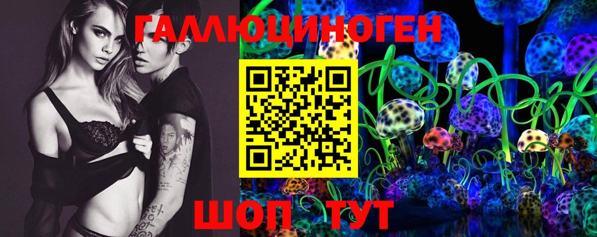 Псилоцибиновые грибы прущие грибы Великий Устюг