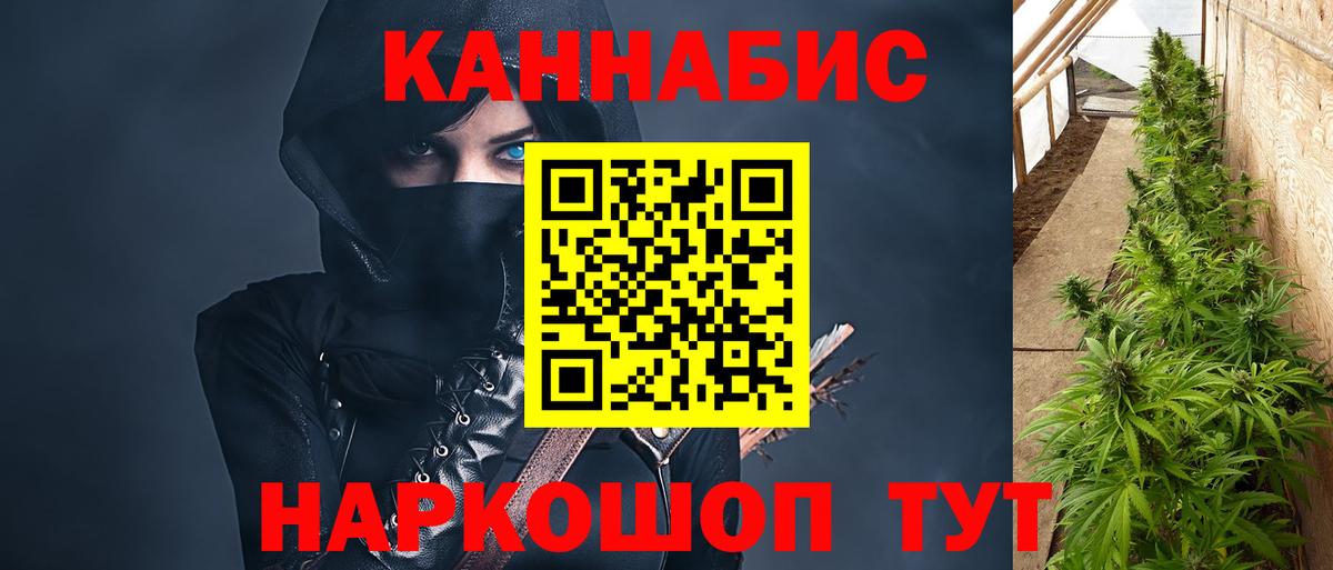 МАРИХУАНА конопля Великий Устюг